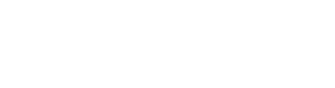 maneattractionusa